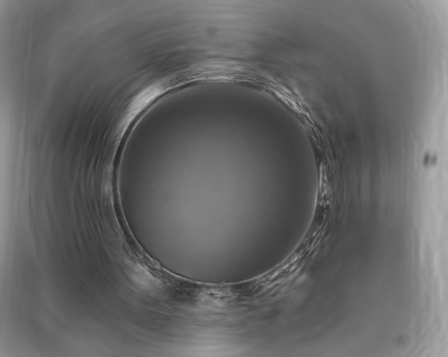 X0000091290099200708101255