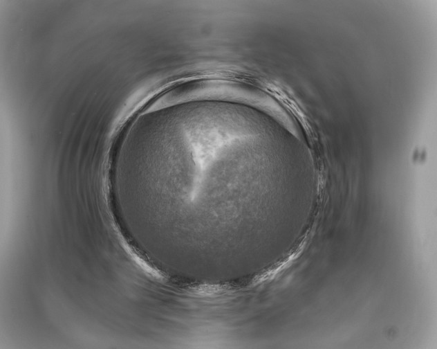 X0000091290101200708101255