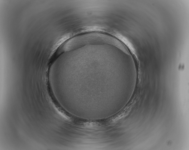 X0000091290105200708101255