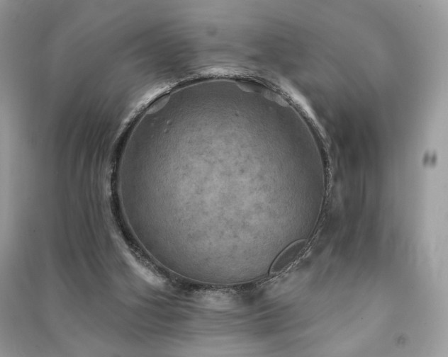 X0000091290106200708101255