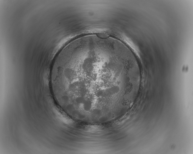 X0000091290107200708101255