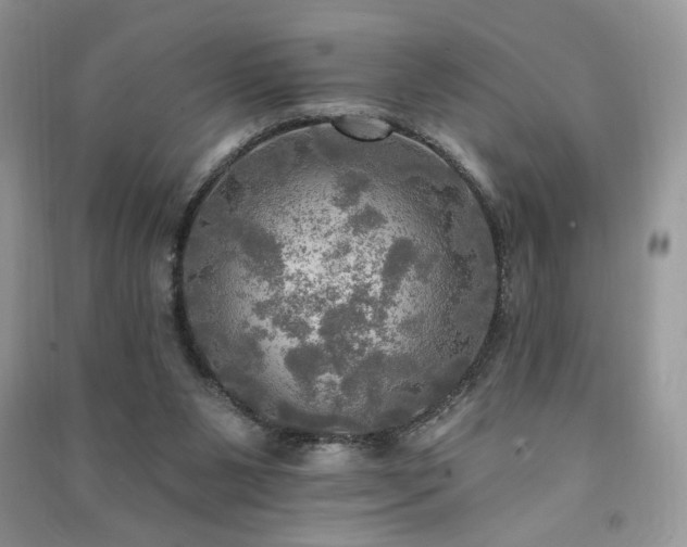 X0000091290111200708101255