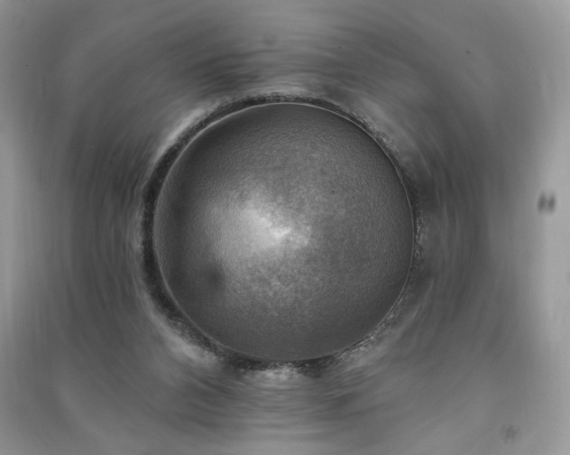 X0000091290112200708101255