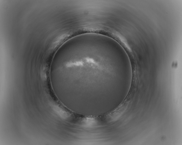 X0000091290114200708101255