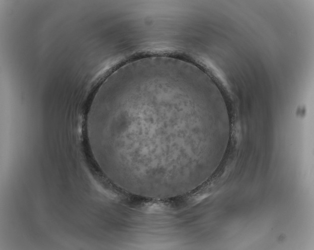 X0000091290115200708101254