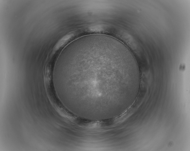 X0000091290116200708101254