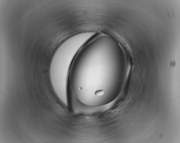 X0000091290117200708101254