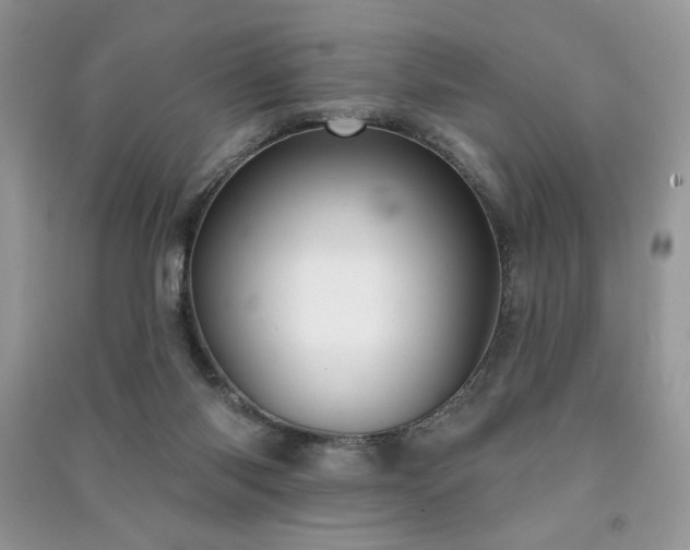 X0000091290118200708101254