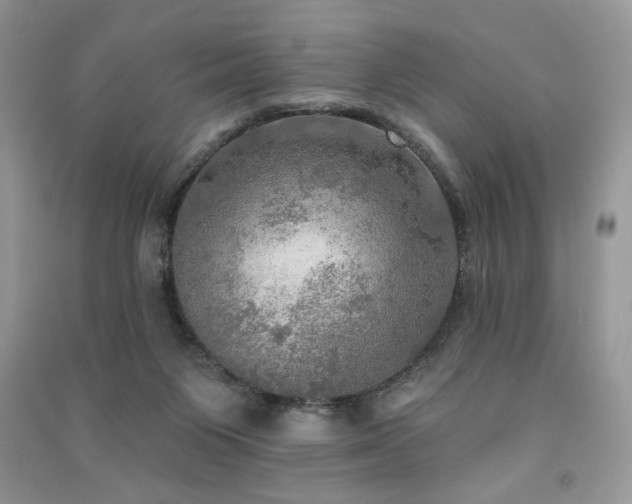 X0000091290119200708101254