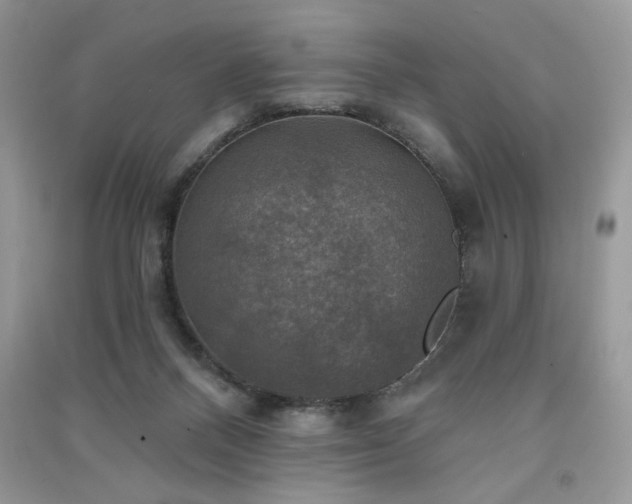 X0000091290120200708101254