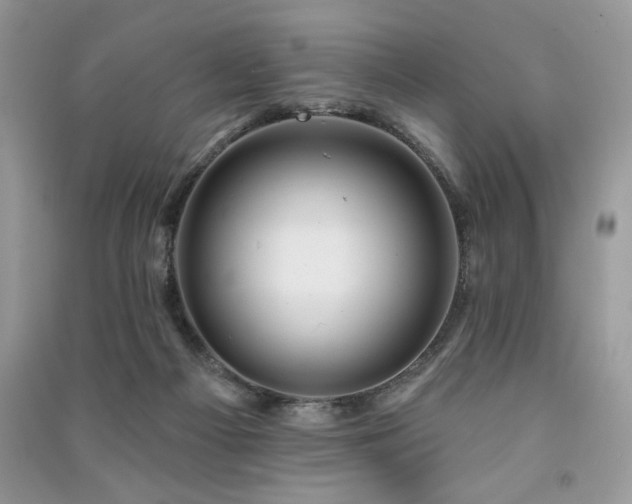 X0000091290121200708101254