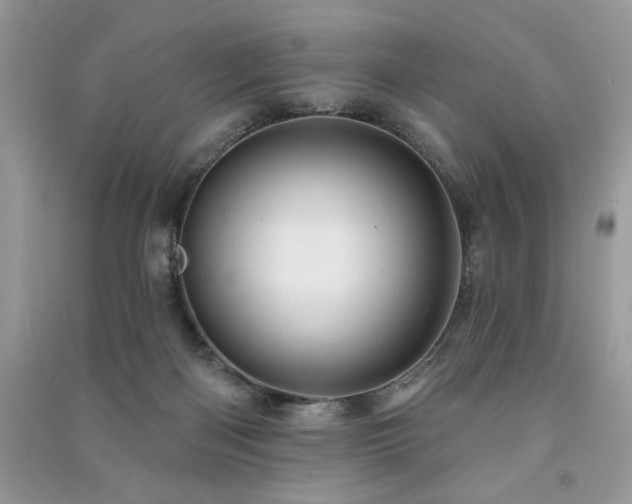 X0000091290122200708101254