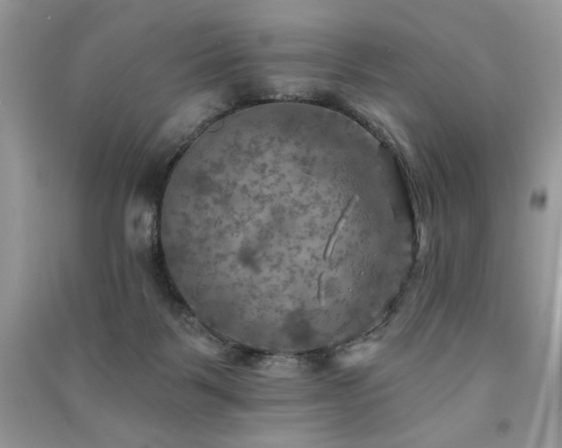 X0000091290123200708101254