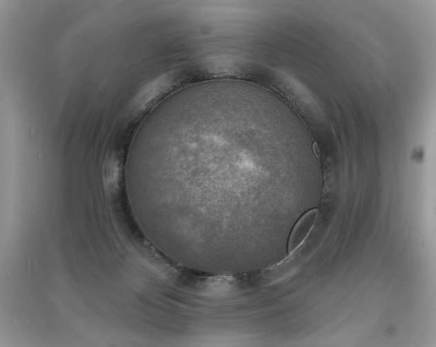 X0000091290124200708101254