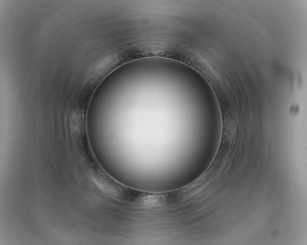 X0000091290126200708101254