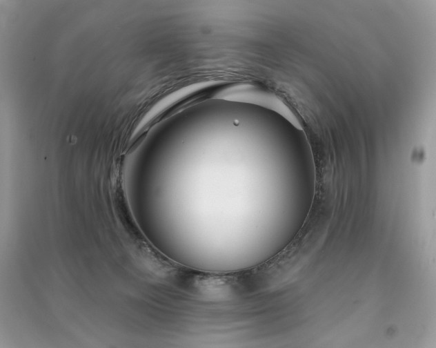 X0000091290129200708101254