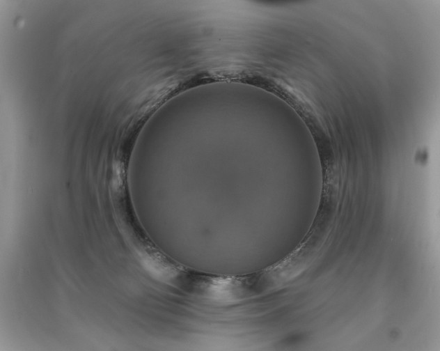 X0000091290130200708101254