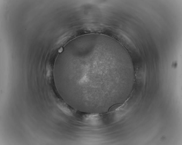 X0000091290132200708101254