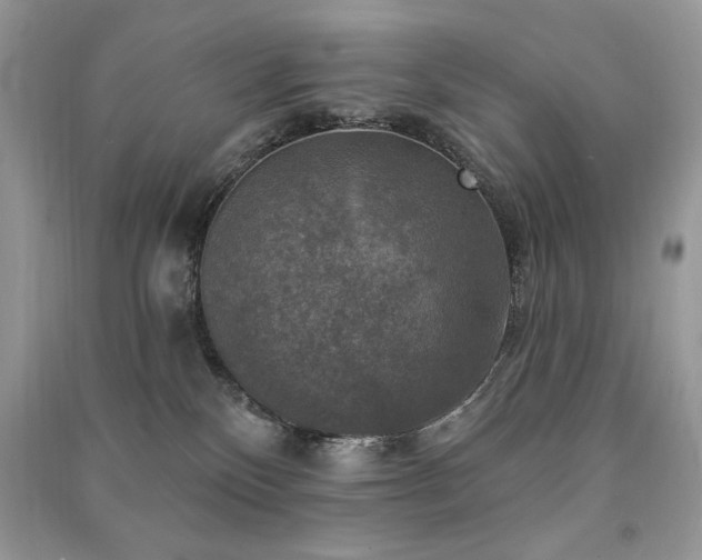 X0000091290136200708101254