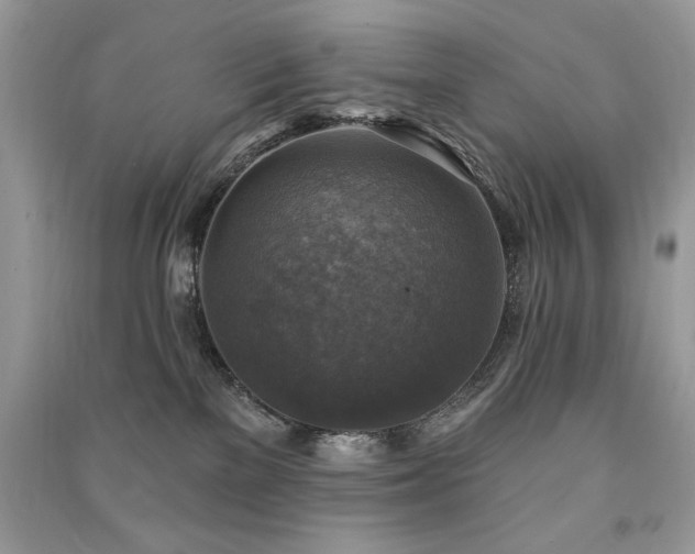 X0000091290137200708101254