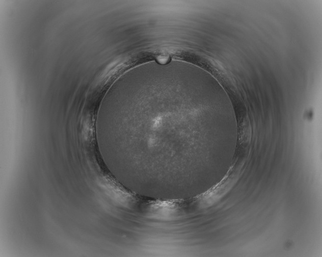 X0000091290140200708101254