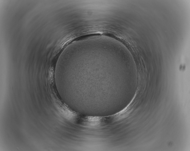 X0000091290144200708101254