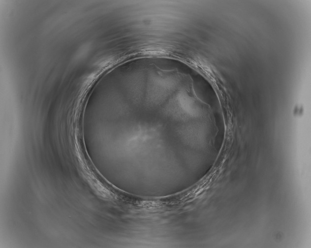 X0000091290145200708101253