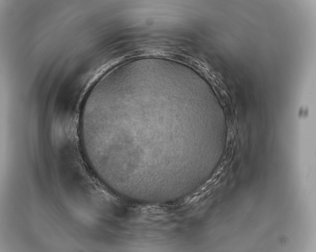 X0000091290146200708101253