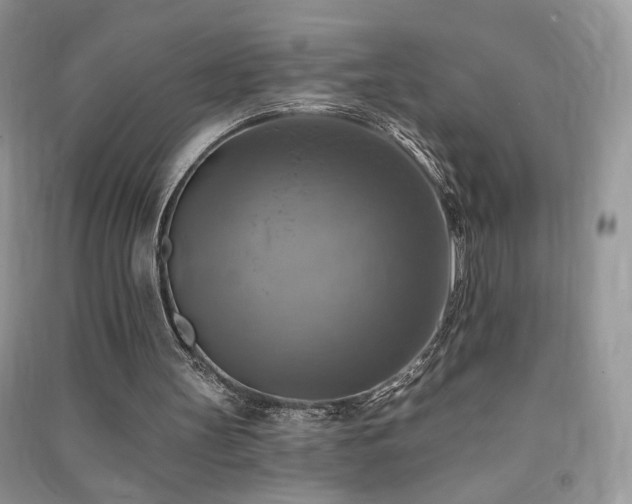 X0000091290147200708101253