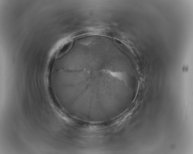 X0000091290149200708101253