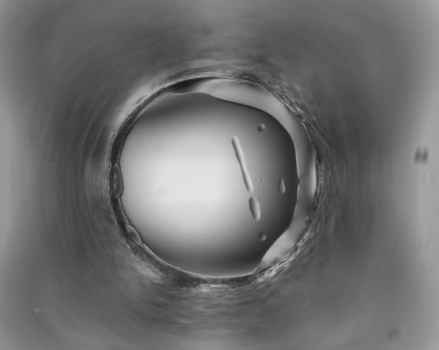 X0000091290150200708101253