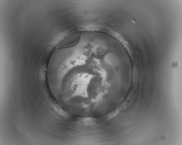 X0000091290153200708101253