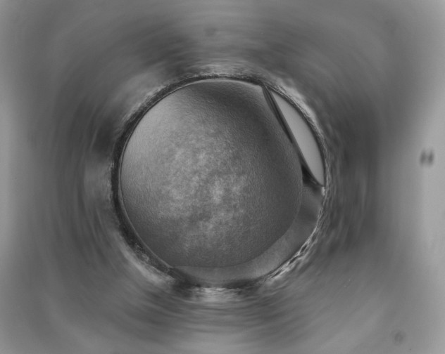 X0000091290154200708101253