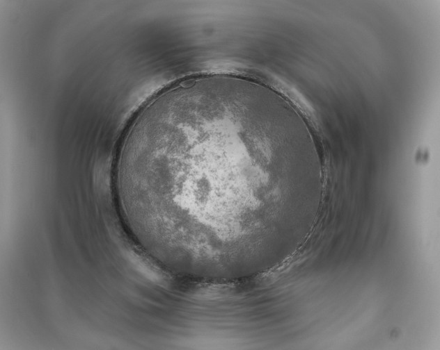 X0000091290155200708101253