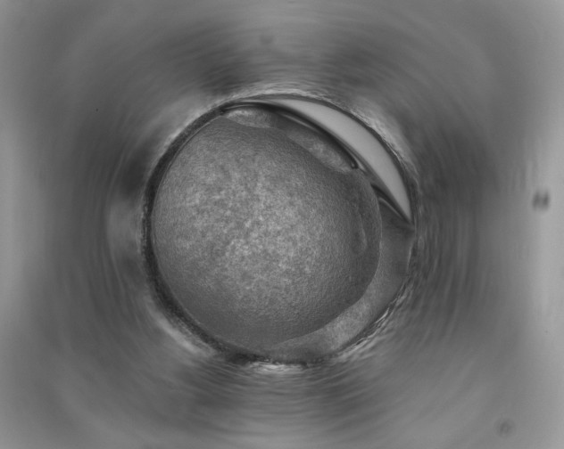 X0000091290156200708101253