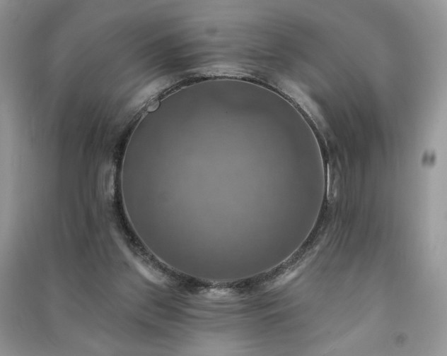 X0000091290157200708101253