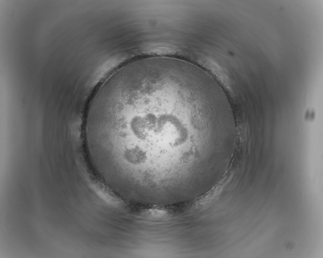 X0000091290159200708101253