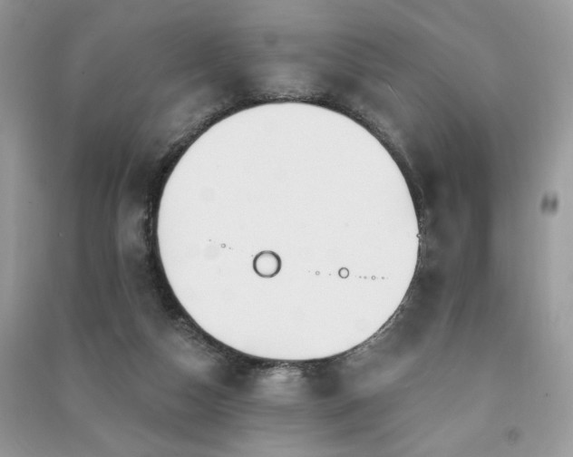 X0000091290162200708101254