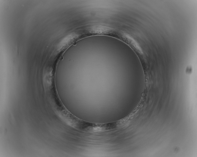 X0000091290163200708101254