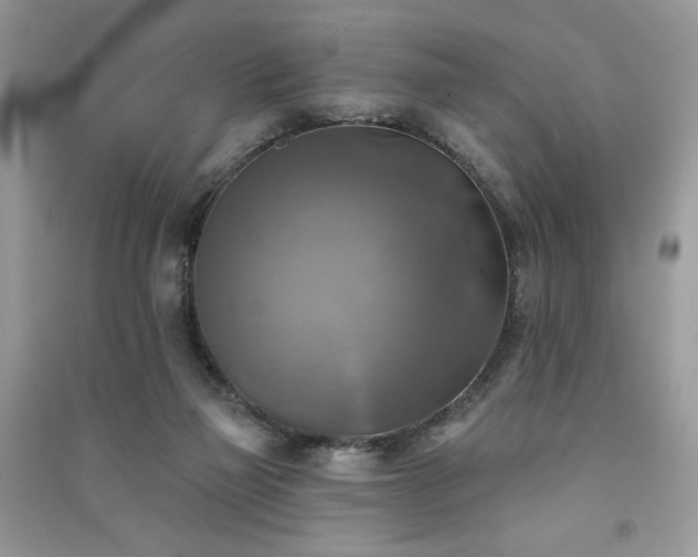 X0000091290165200708101254