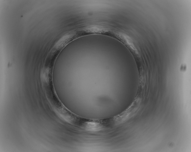 X0000091290167200708101254