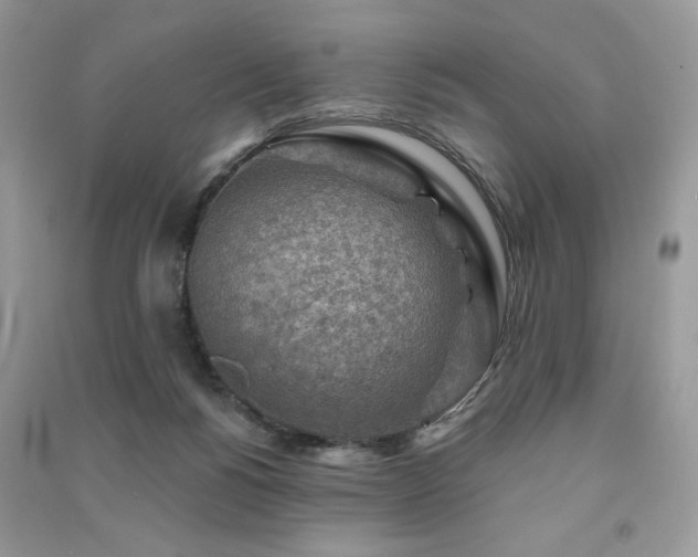 X0000091290168200708101254