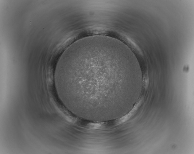 X0000091290170200708101254