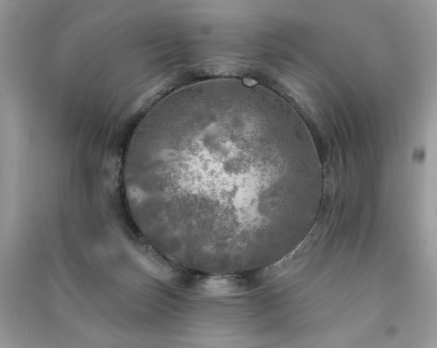 X0000091290171200708101254