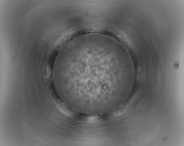 X0000091290173200708101254