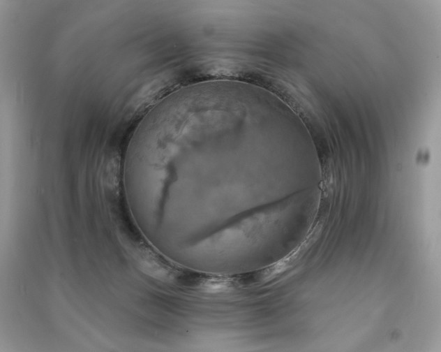 X0000091290175200708101254