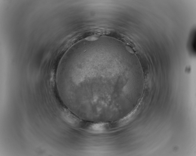 X0000091290178200708101254