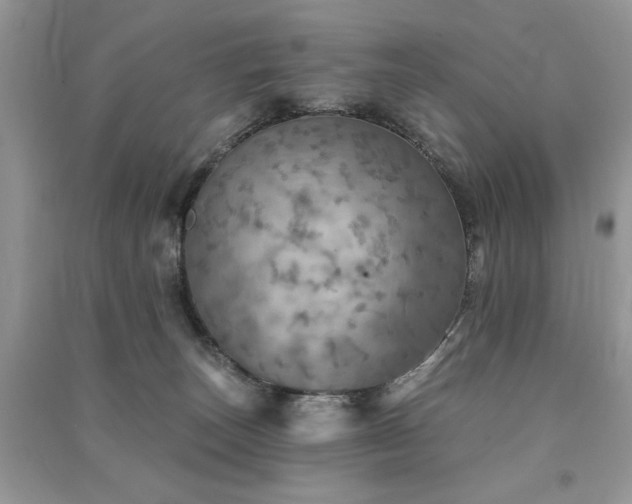 X0000091290179200708101254