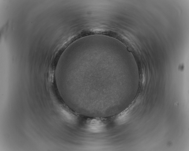 X0000091290180200708101254