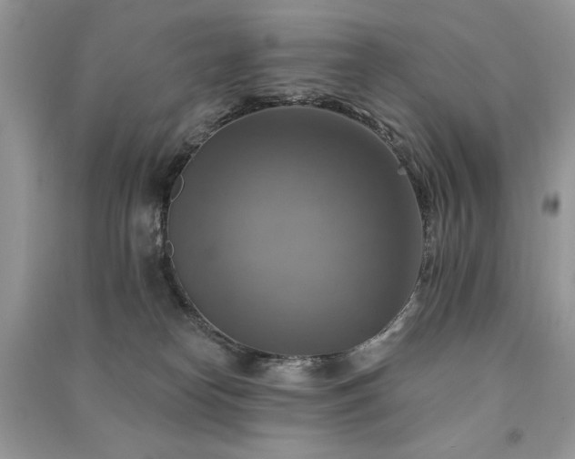 X0000091290182200708101254